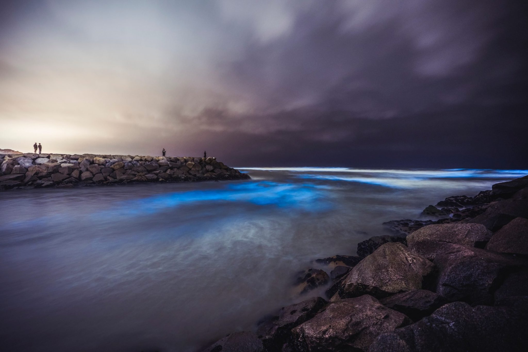 13 Beautiful Photos of Beaches That Naturally Glow