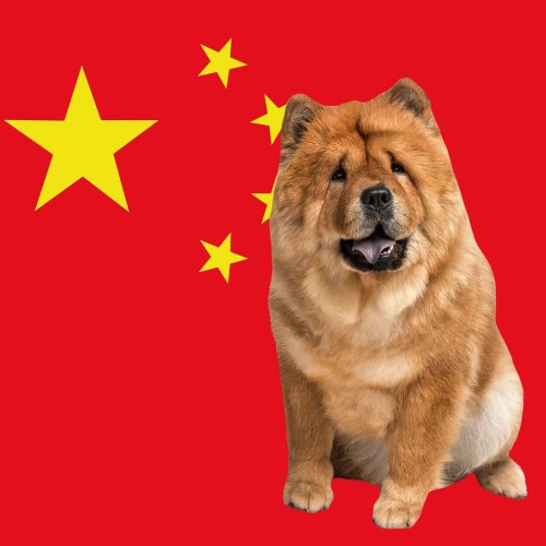 10 Authentic Chinese Dog Breeds and Their Fascinating History Flipboard