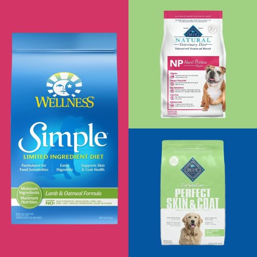 8 Best Dog Foods for Allergies, According to Experts | Flipboard