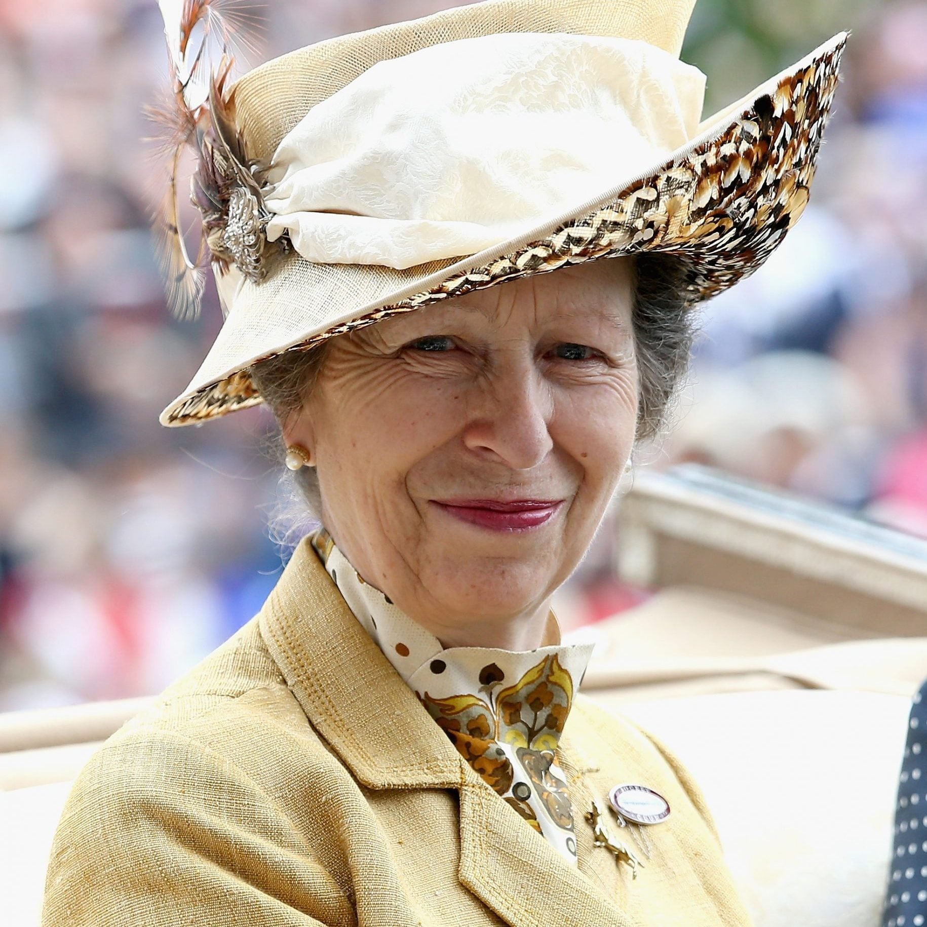 Will Princess Anne's Title and Role Change Now That the Queen Has Passed?