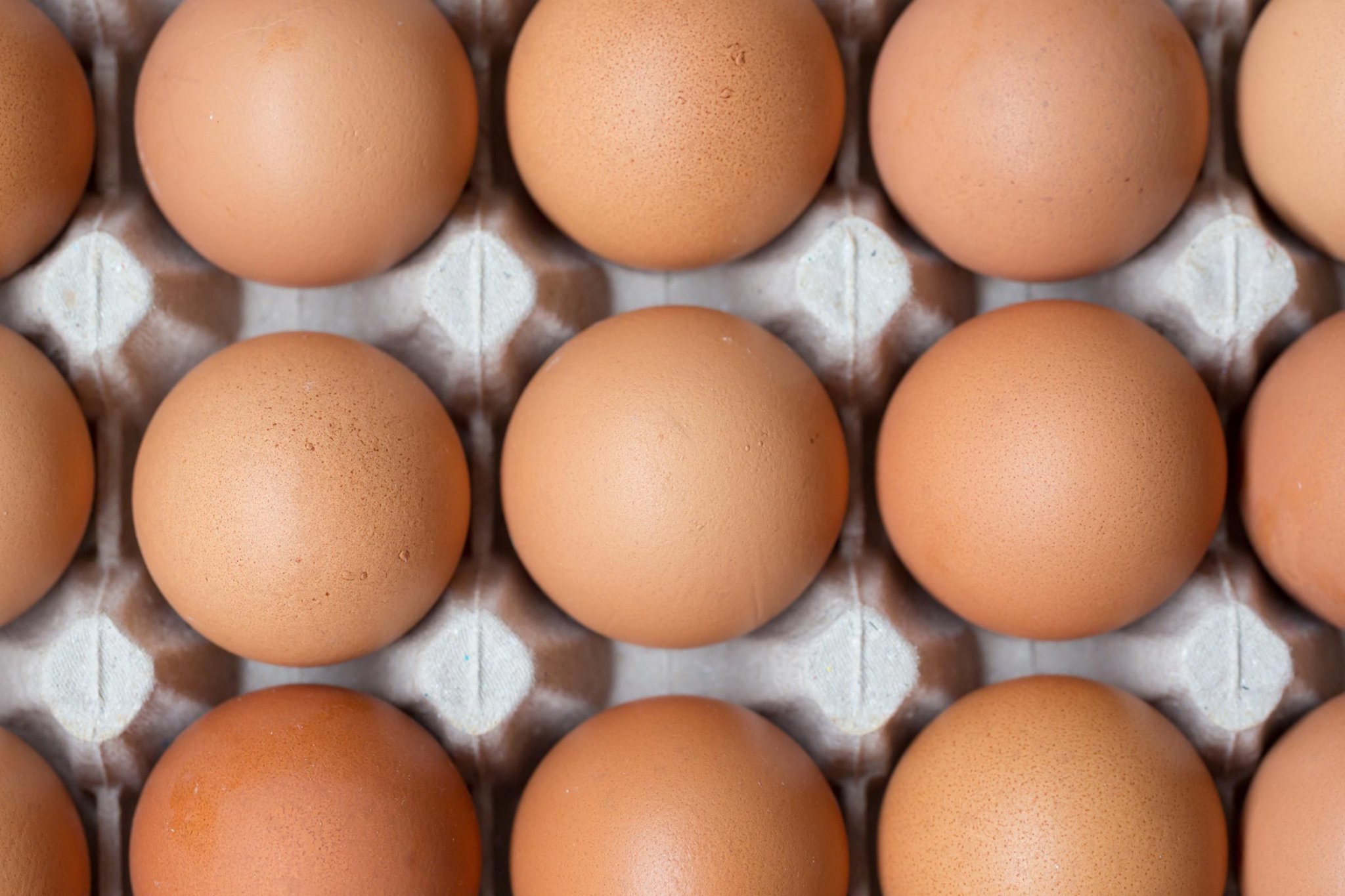 The True Difference Between Jumbo and Large Eggs