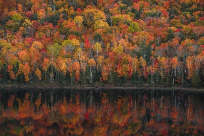 50 of the Most Stunning Pictures of Fall Across America
