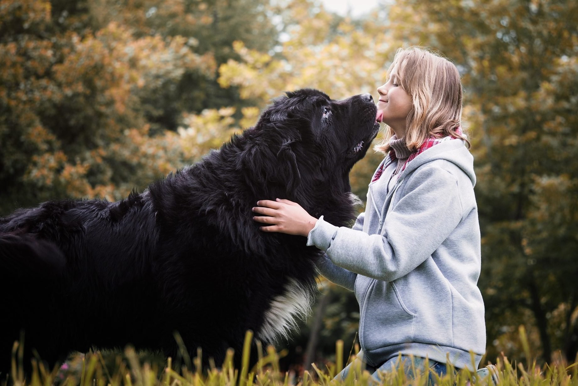 25 Giant Dog Breeds That Make the Best Pets