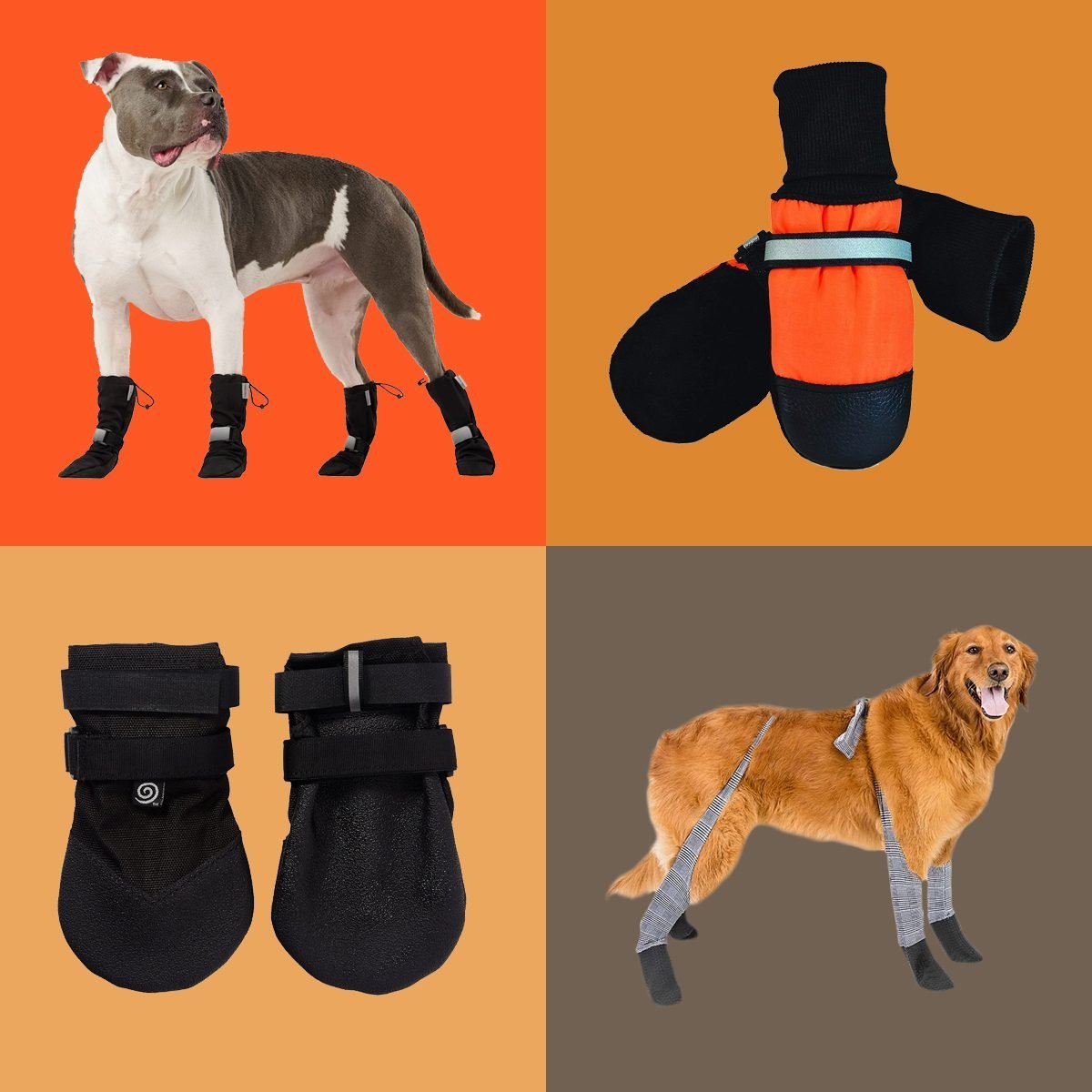 The 6 Best Dog Winter Boots, According to Our Pet Expert