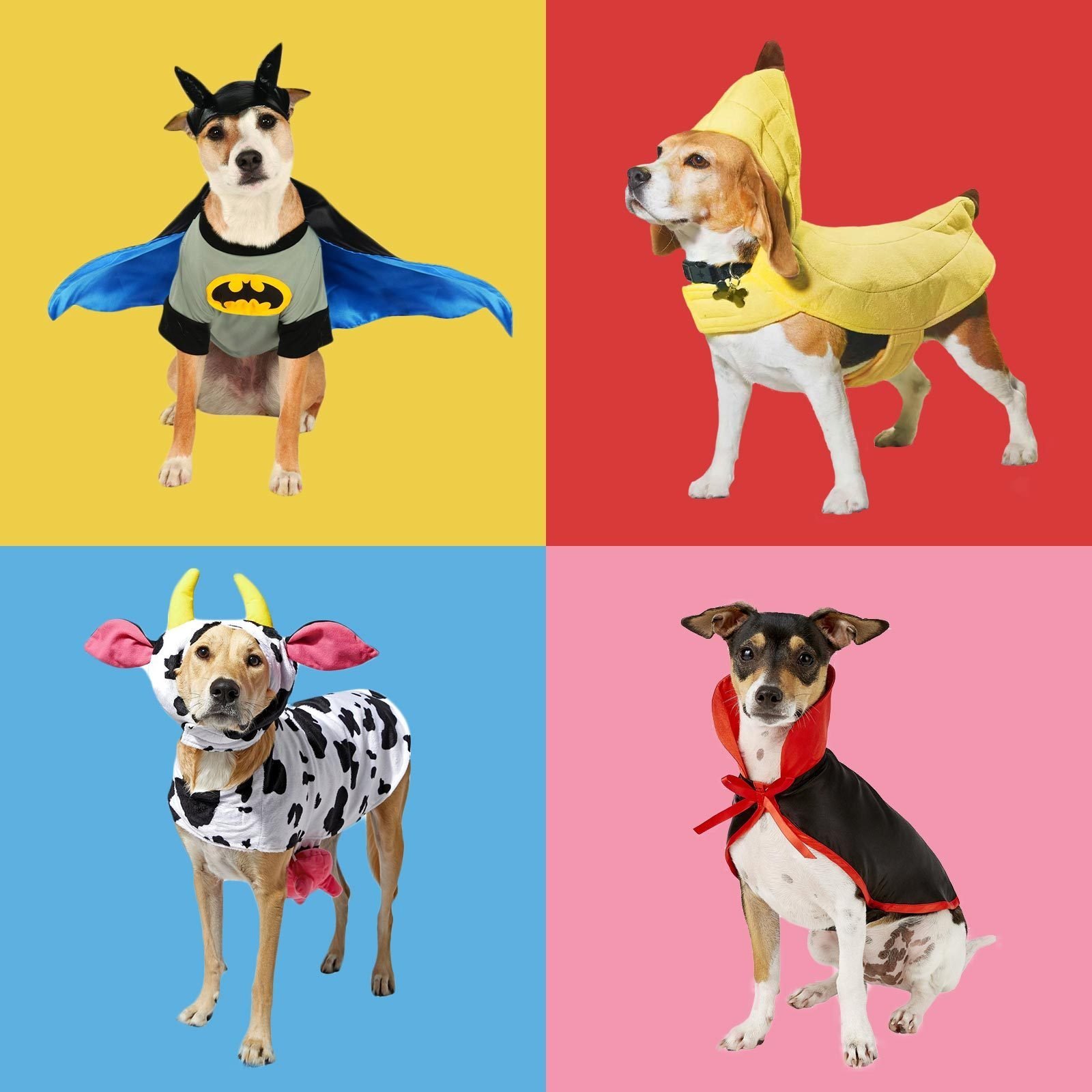 40 Dog Halloween Costumes That Are Pawsitively Adorable