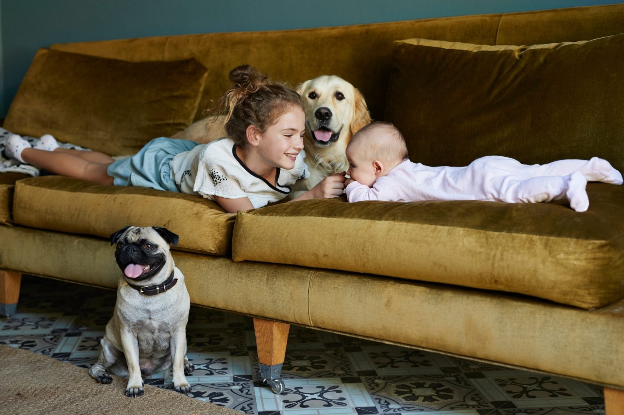 18 Best Dog Breeds for Kids