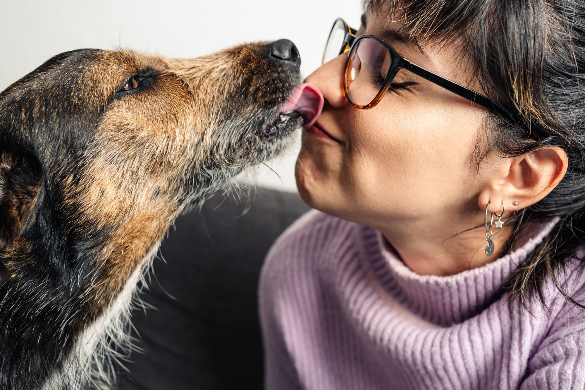 Why Do Dogs Lick You, and How Can You Stop It?