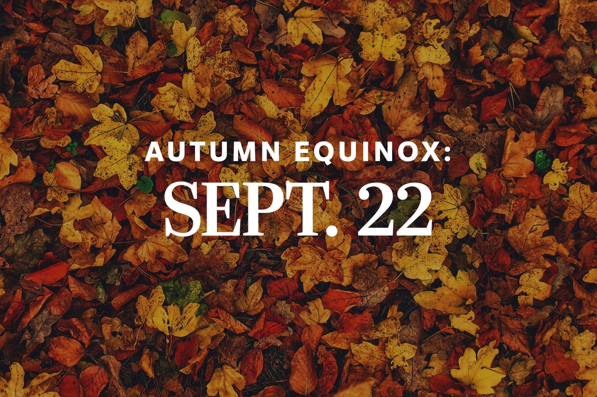 What the 2022 Fall Equinox Means for Your Zodiac