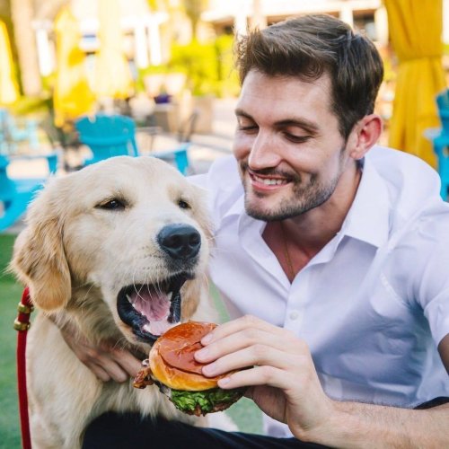 15 Fast-Food Chains with a Secret Dog Menu