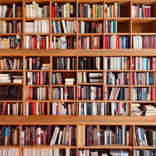 How 10 Authors and BookTok Influencers Organize Their Bookshelves