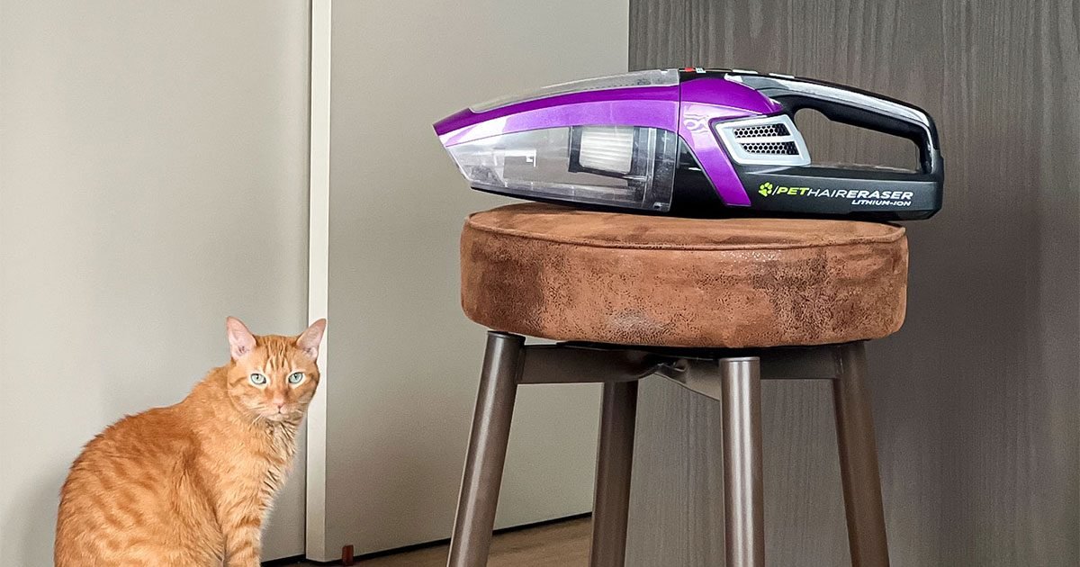 Our Editors Tested the 10 Best Vacuums for Pets to Truly Eliminate Pet Hair