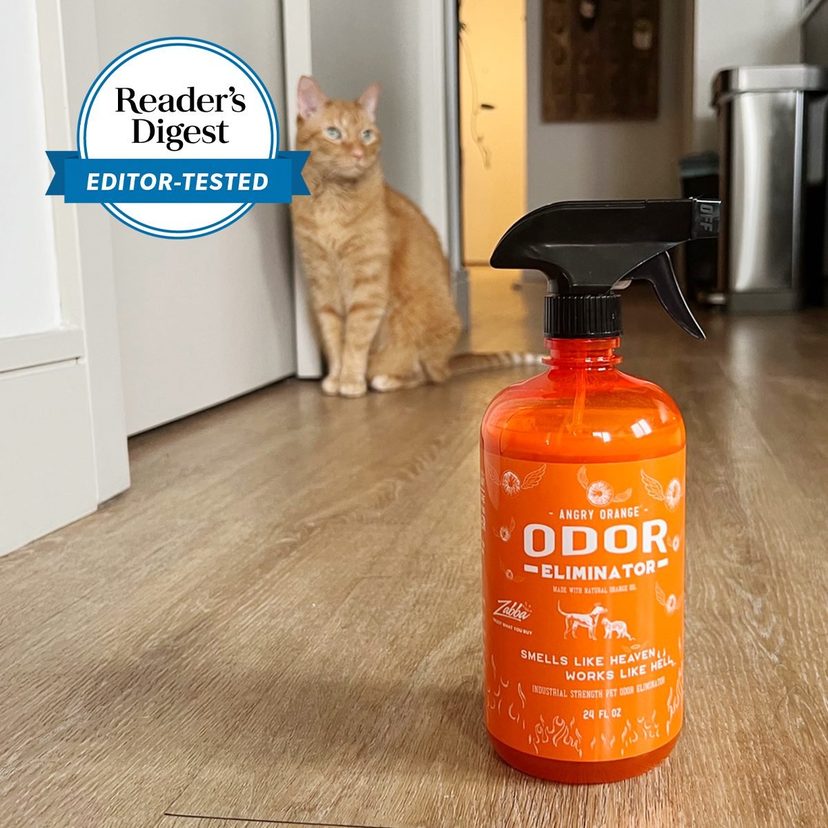 I Tried the Angry Orange Pet Odor Eliminator, and It’s Magic at Removing Stubborn Smells