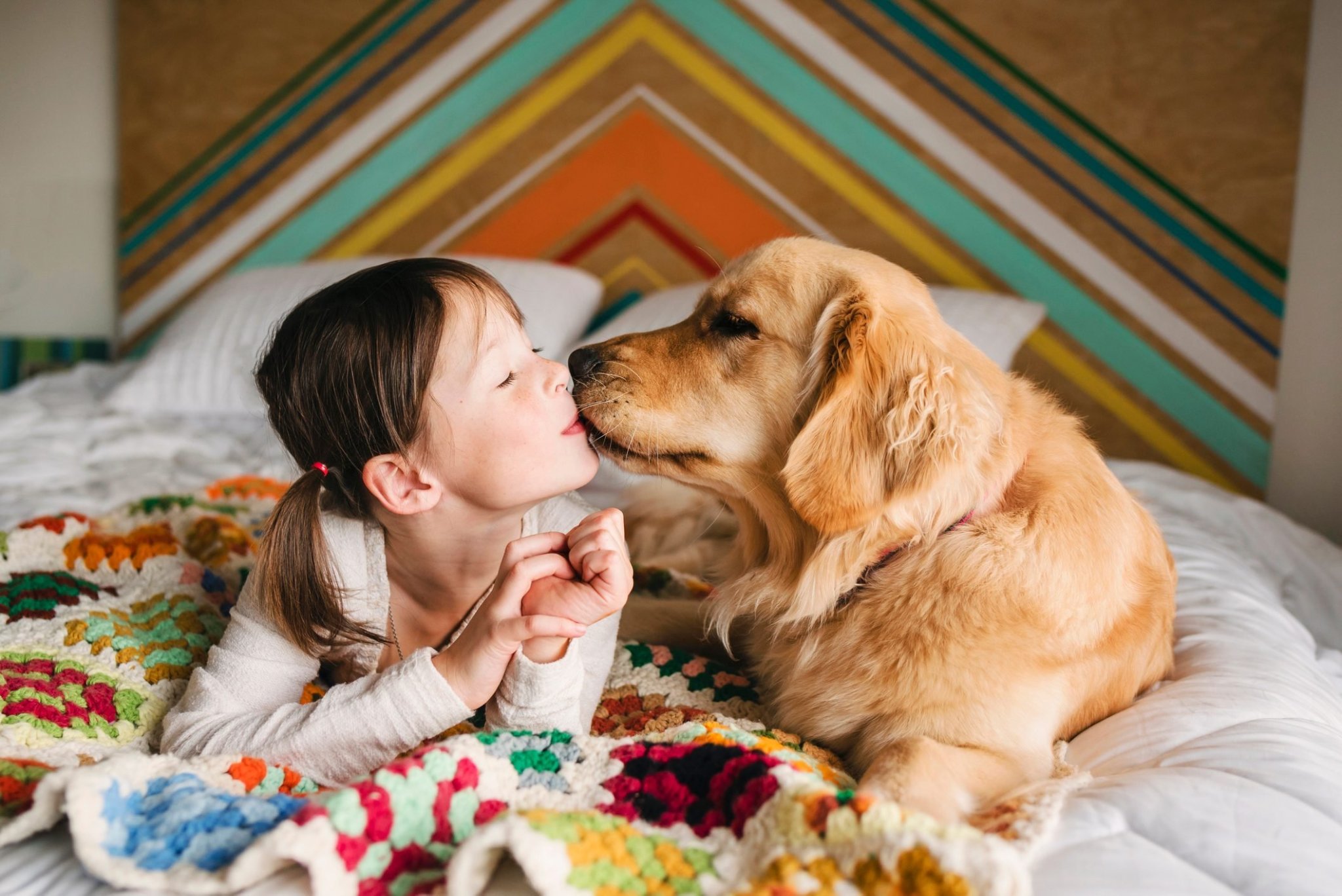 11 Most Affectionate Dog Breeds That Love to Cuddle