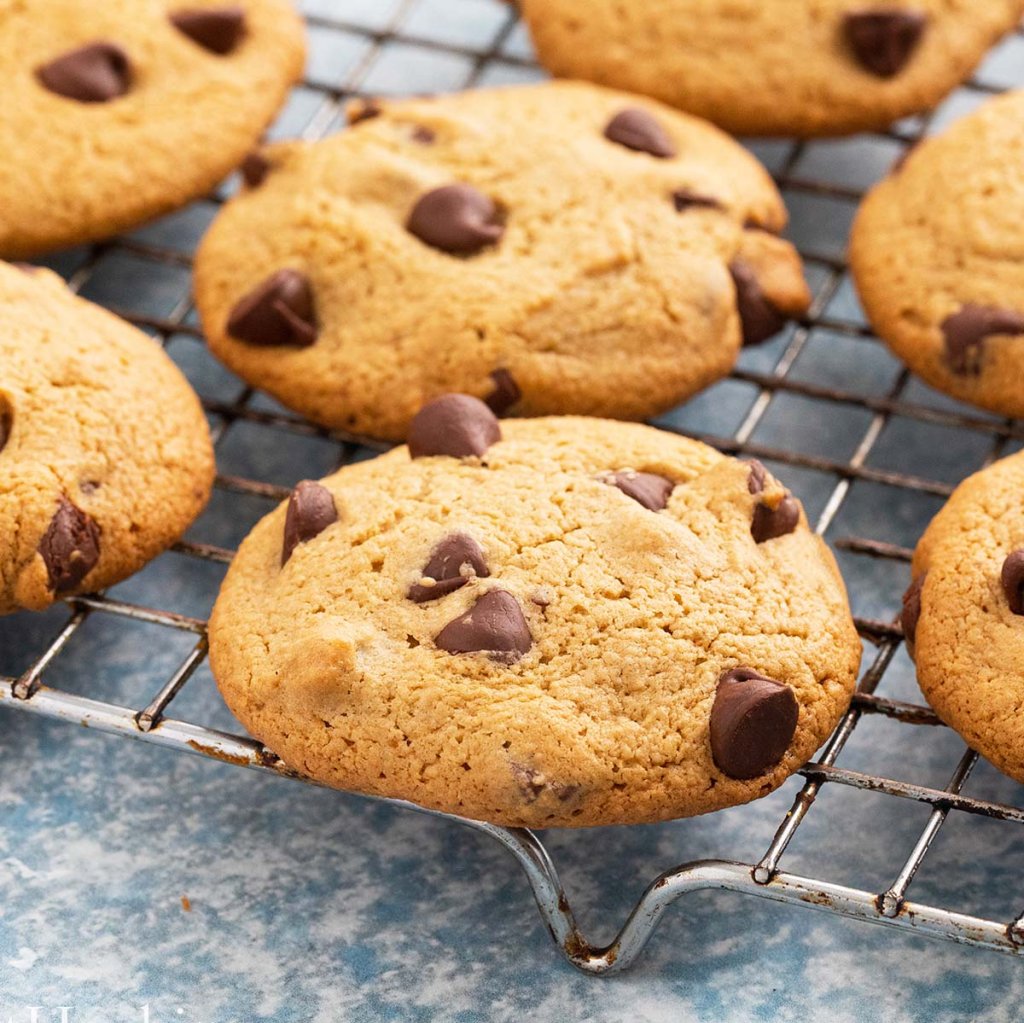 Oat Recipes - cover