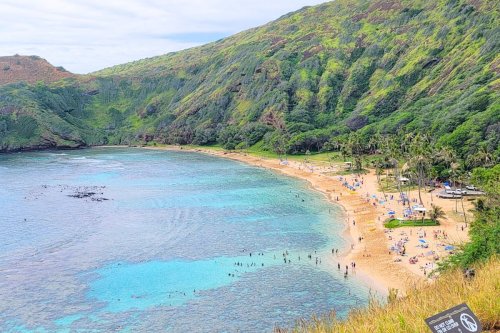 This Protected Marine Preserve is Oahu's #1 Snorkeling Spot (& its toughest reservation!)🐠🤿