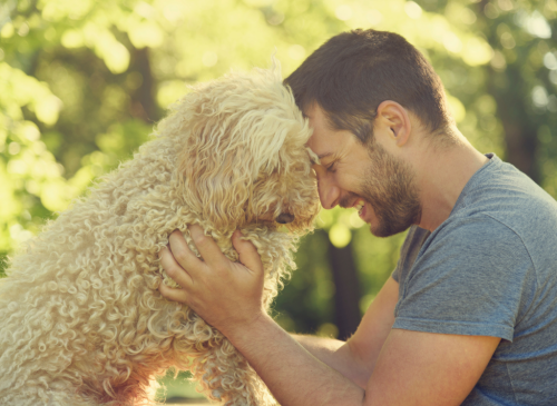 10 Ways to Win Your Dog's Heart