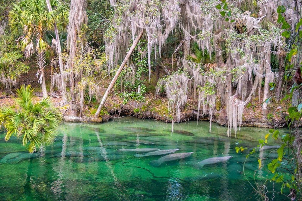 EXPLORING FLORIDA - cover