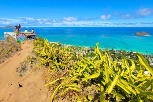 Oahu's Most Beautiful Coastal Hike is Tucked Away in This Upscale Neighborhood🌺