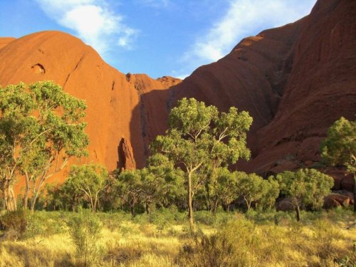 Uluru base walk: Getting up close with an Australian icon - Reading the Book