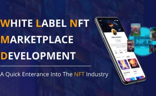 How Did White Label NFT Marketplace Development Hype Start?
