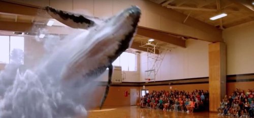 News: Magic Leap Releases Helio Experiments Demos, Finally Gives Us the Infamous AR Whale