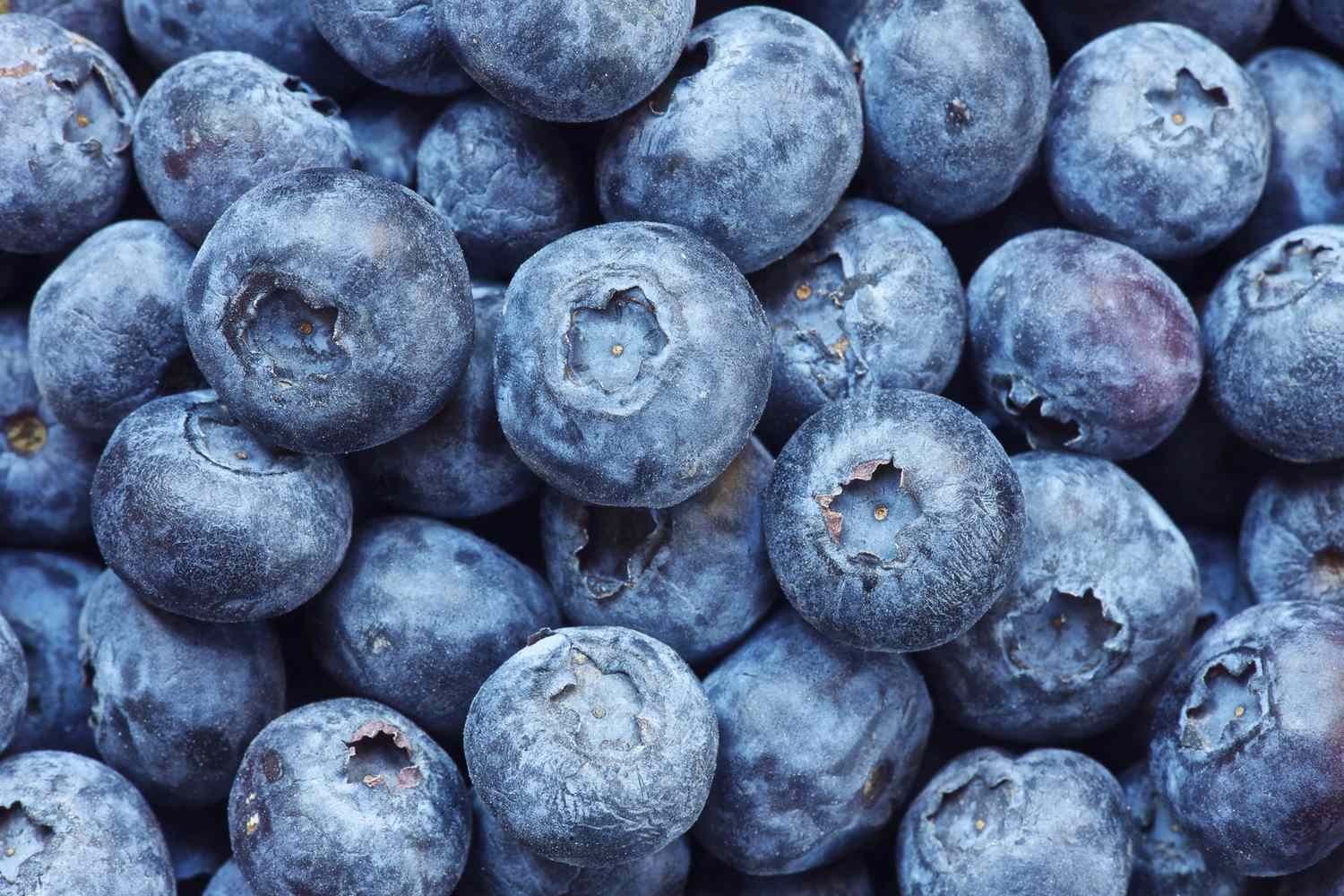 The Top 10 Superfoods, According to More Than 1,100 Registered Dietitians