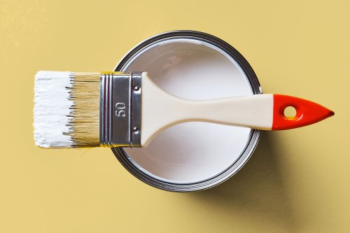 What Is Paint Primer and Is It Actually Necessary?