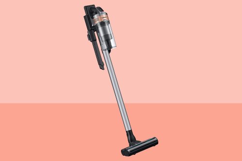 We Named This Cordless Vacuum the Best for Picking Up Pet Hair—and It’s $99 Off at Amazon