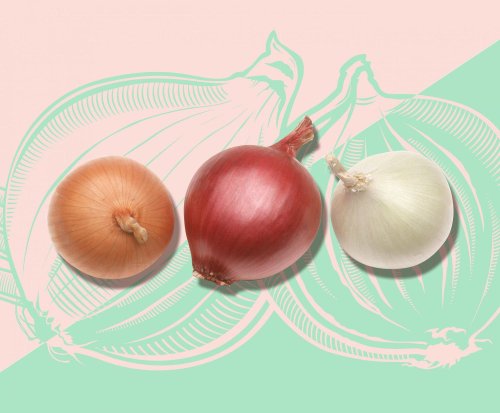 10 Different Types of Onions Worthy of Your Favorite Dishes