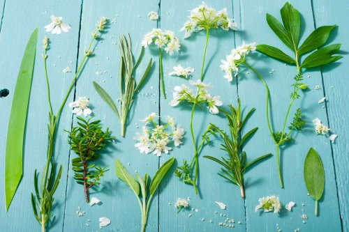 This Everyday Herb Has Major Anti-Inflammatory Benefits, Experts Say