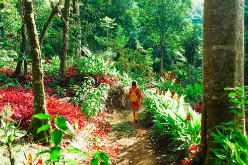 ‘Color Walks’ Are a Simple Way to Help Relieve Stress—Here’s How to Get Started