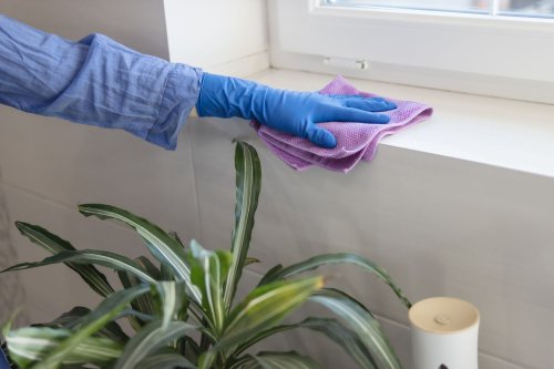 How to Clean Mold (And How to Prevent It from Growing)