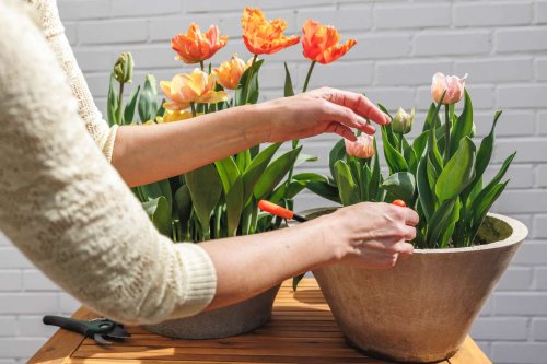 5 Subtle Signs You’re Aging Well, According to Longevity Experts