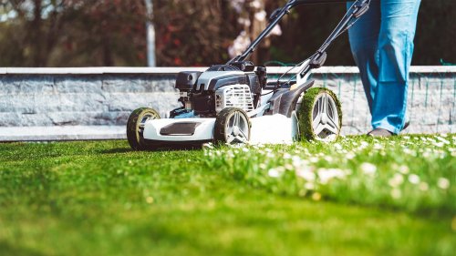 How to Mow a Lawn, and When: Odds Are, You're Doing It All Wrong