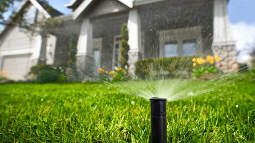 How to Water a Lawn, and When: Odds Are, You're Doing It All Wrong
