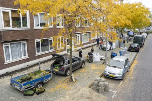 In the Netherlands, Anyone Can Turn a Slice of Sidewalk Into a Garden