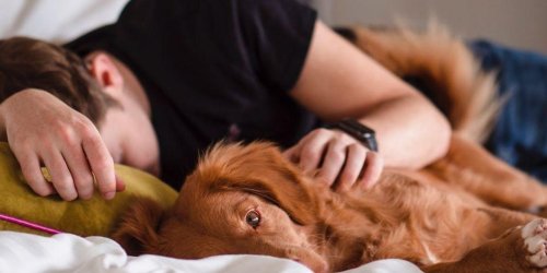 Psychologist explains why everyone feels exhausted right now and it makes so much sense