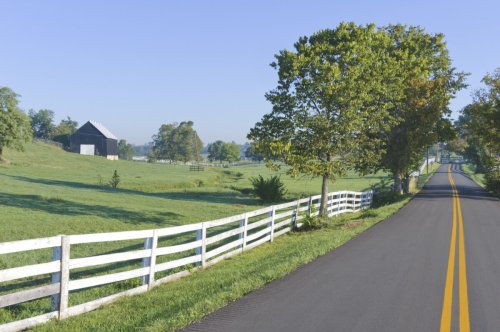 9 Fun Facts About Lexington, Kentucky: How Well Do You Know Your City?