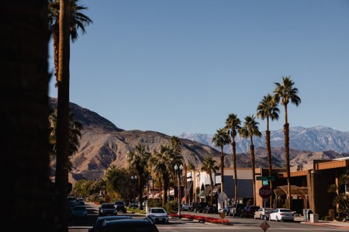 8 Popular Palm Springs Neighborhoods: Where to Live in Palm Springs in 2024