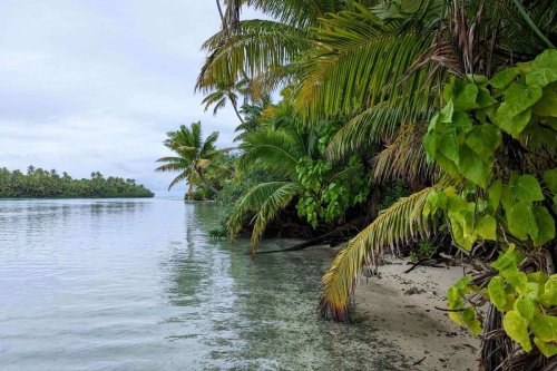 Cookinseln: Rarotonga und Aitutaki