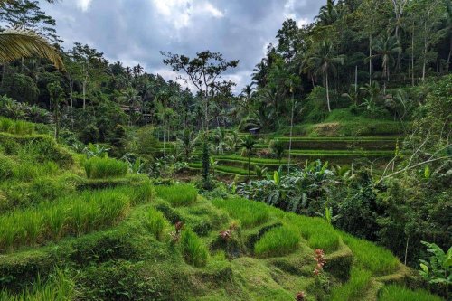 Bali: Top-Sehenswürdigkeiten im Zentrum und Norden