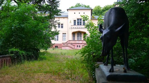 Krumke in der Altmark: ein Schloss, ein Park und perfektes Landleben