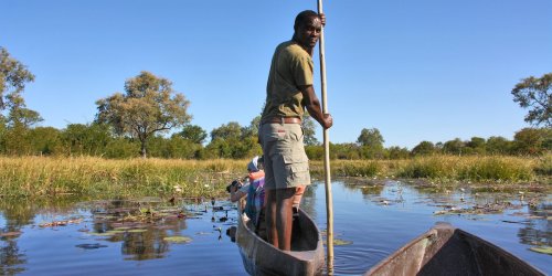 Das Okavango-Delta in Botswana – 8 Tipps für das perfekte Safari-Erlebnis | Reiselust-Mag