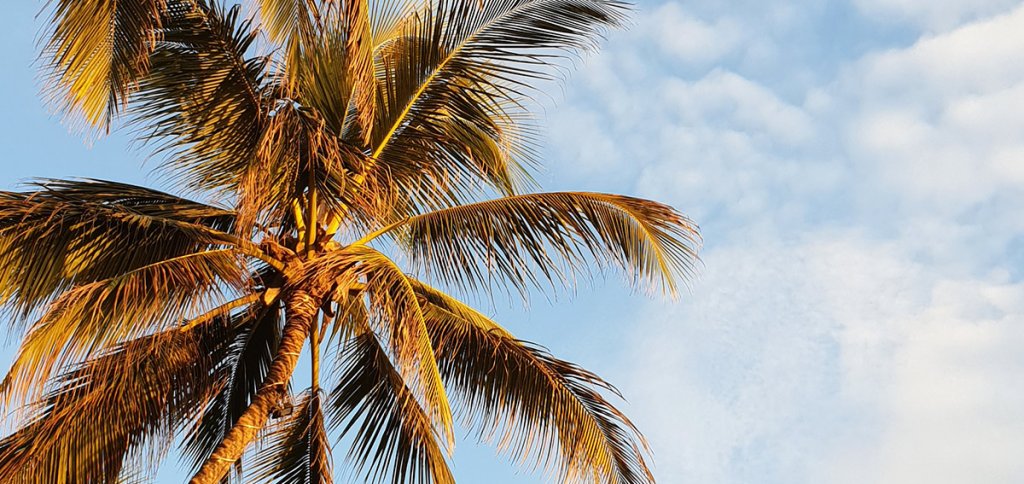 Sri Lanka | Reiseberichte - cover