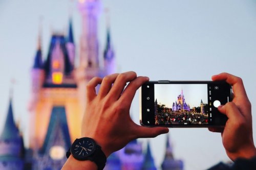 Studieren für Mickey: Tipps fürs Disney World