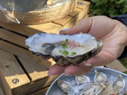 Austern in Seattle: Hier schlägt das Gourmetherz!