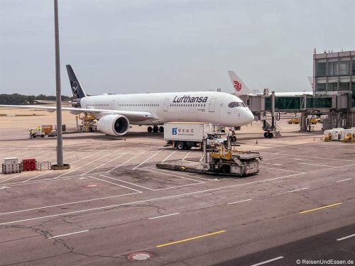 Lufthansa Surprise: Spannender Überraschungsflug für Abenteuerlustige