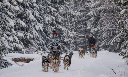 Thüringer Wald: Schöne Ausflugsziele im Winter