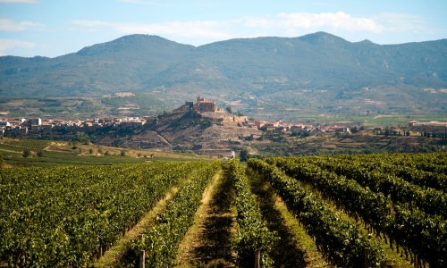 La Rioja: Wo Spaniens köstlicher Wein wächst