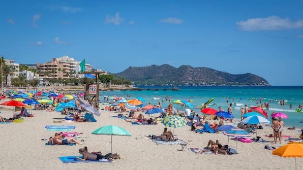 Trickdiebstahl auf Mallorca: Warnungen an Urlauber vor „Rosmarin-Masche“
